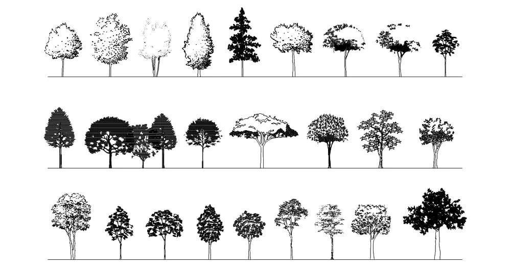 Tree CAD Blocks – Free DWG 2D Plan and Elevation